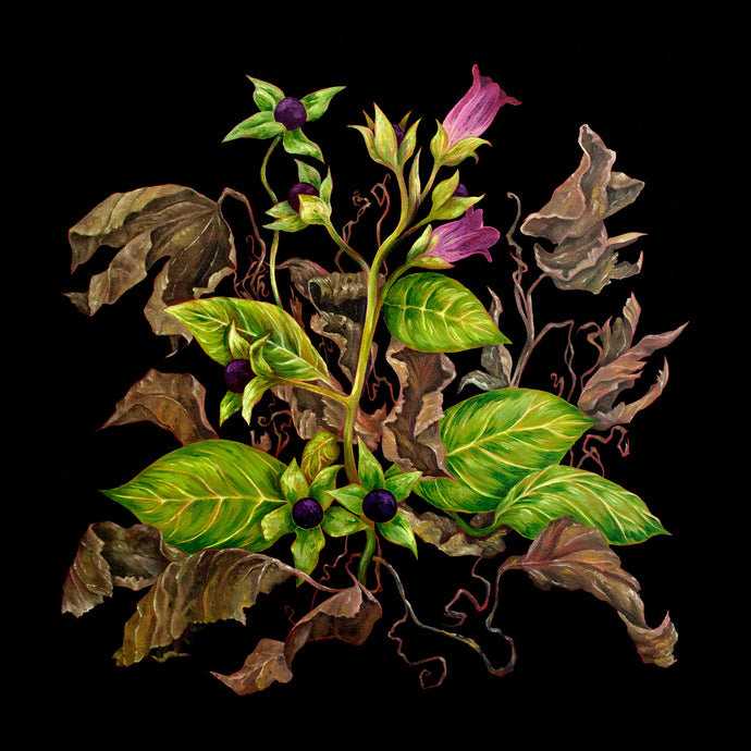Illustration&painting